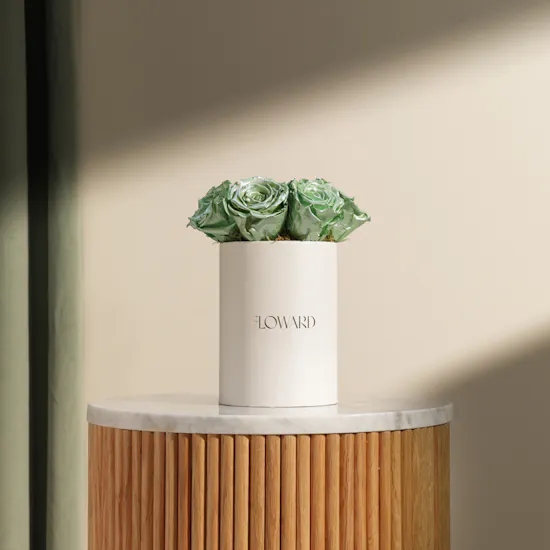 Preserved Green Roses Box