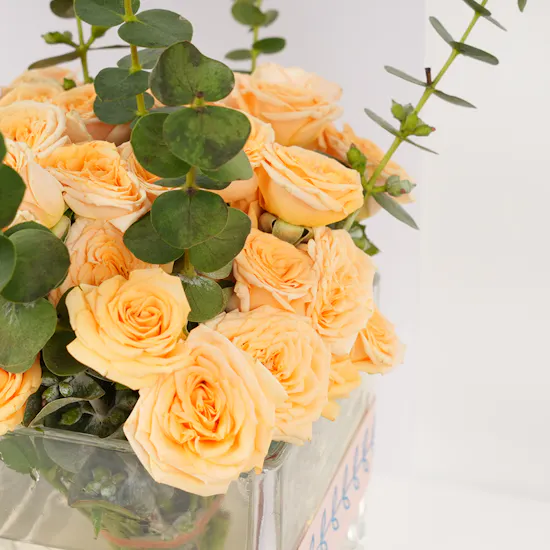 Hanoverian Caramel Chocolate Box | Joyful Roses