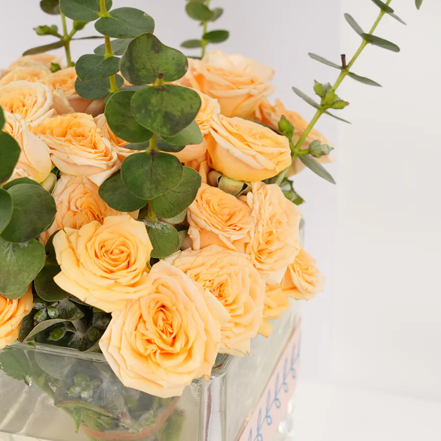 Hanoverian Caramel Chocolate Box | Joyful Roses 2