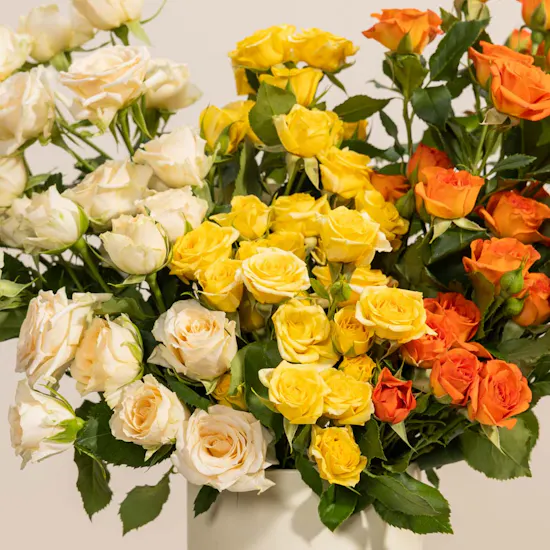 Dream Gleam Roses Box