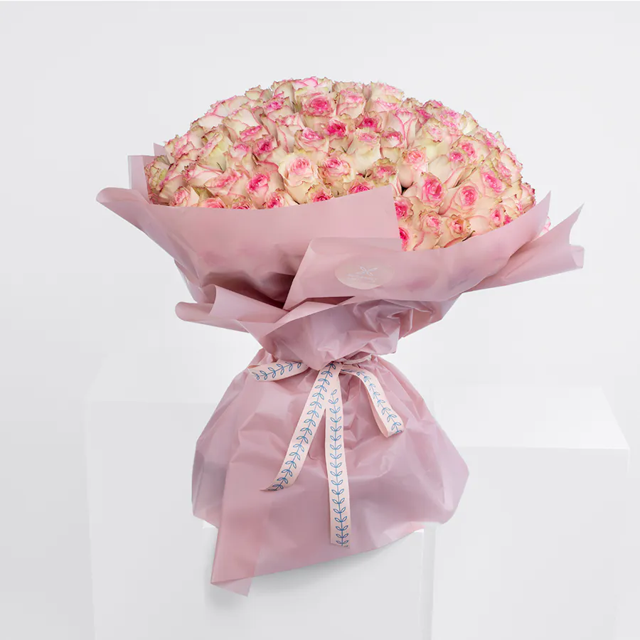 150 Esperance | Pink Wrap 1