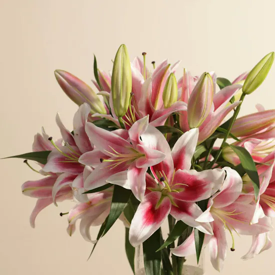 Pink Grace Lily Vase | 8 Flowers
