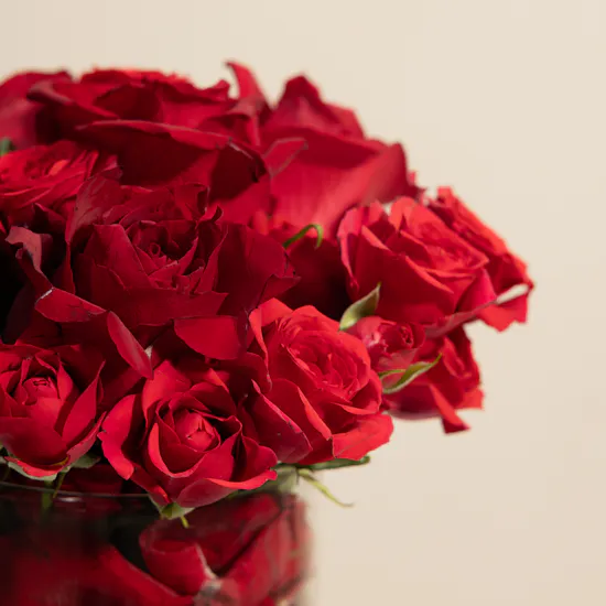 Red Symphony Rose Vase