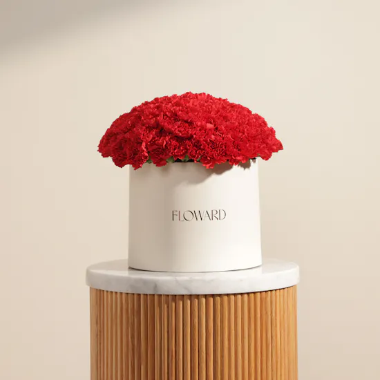 Emotional Red Carnation Box | 75 Flowers
