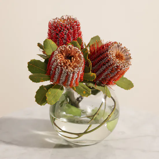 Elegnat Flowers Vase
