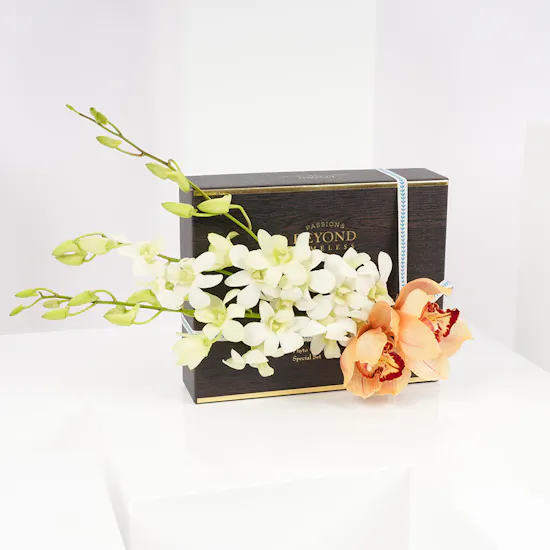 The Face Shop Beyond | Flowers