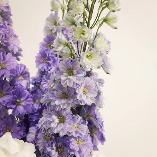 The Lavender Sonata Flower Vase