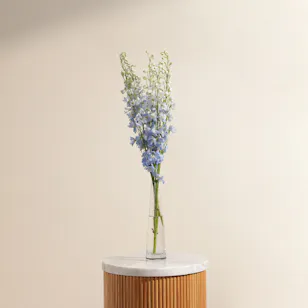 Light Blue Delphinium Vase