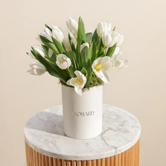 White Tulip Flowers Box