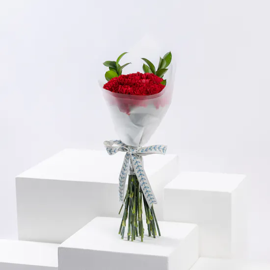 Carnations Radiance | Love Flowers | 25 Carnations