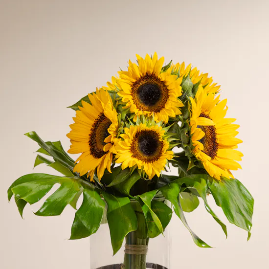 Get Well Soon Sunflowers Vase