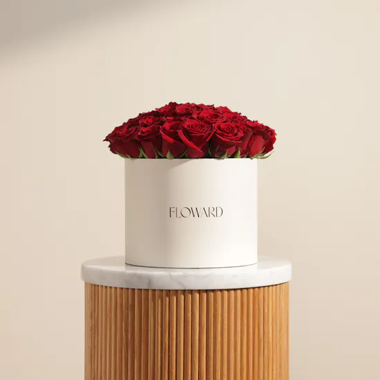 Romance Red Roses Box | 55 Flowers