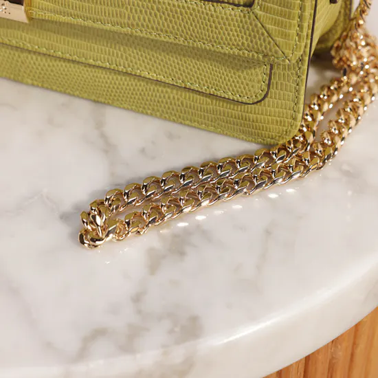 Cole Haan Light Green Daniella Chain Shoulder Bag