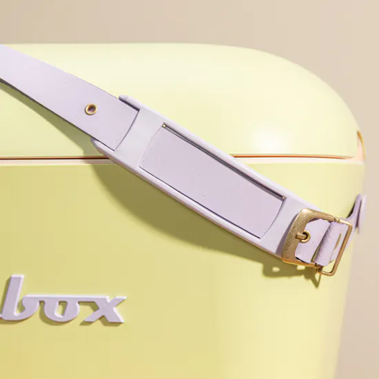 Polarbox Lime Green with Pink Font and Handle 20 L Ice Box