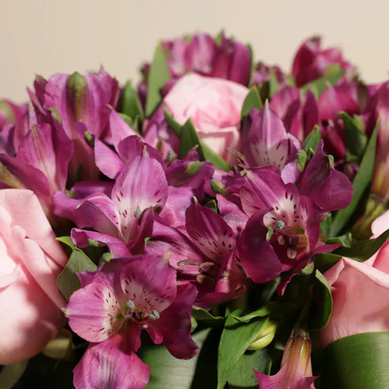 Pink Roses | Square Vase