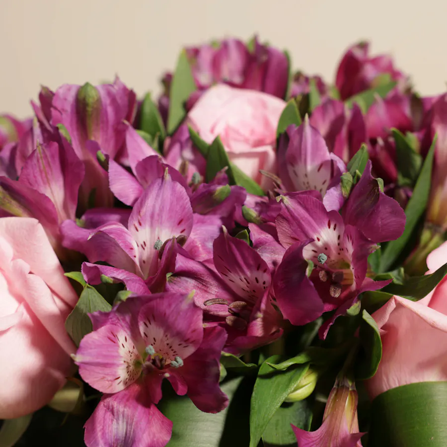 Pink Roses | Square Vase 3