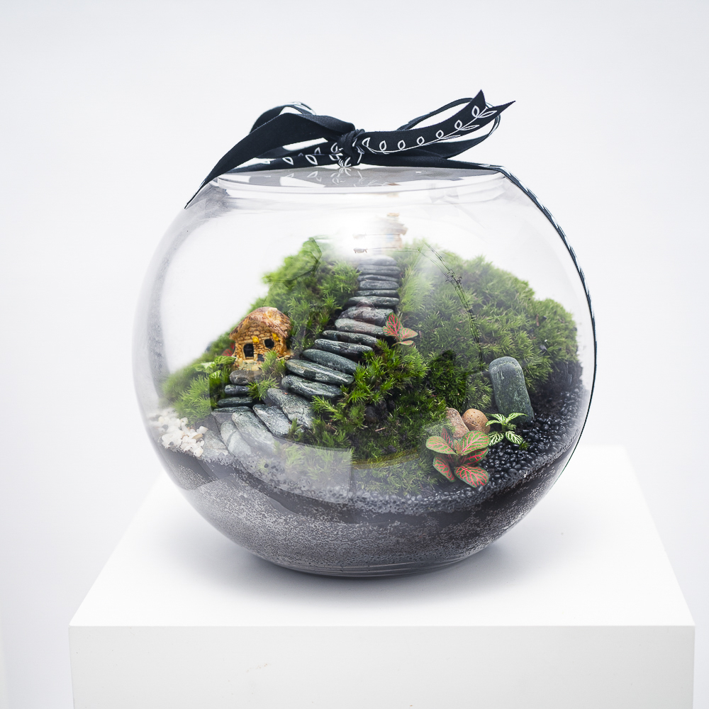 غابة الأكواخ الصغيرة | تيراريوم مغلق