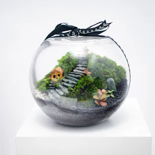 Little Forest Cottages | Closed Terrarium 
