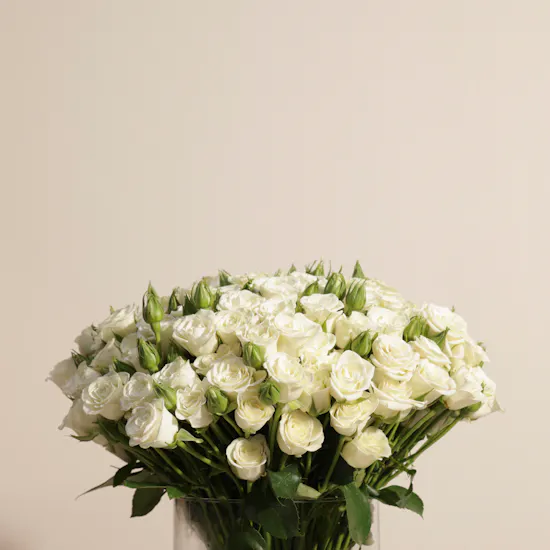 White Baby Roses Vase | 50 Flowers