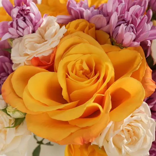 Apricot Waltz Flower Box