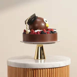 NJD Graduation Chocolate with Fresh Fruits Cake 