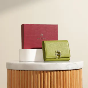 Aigner Pistachio Fashion Combination Women’s Wallet 