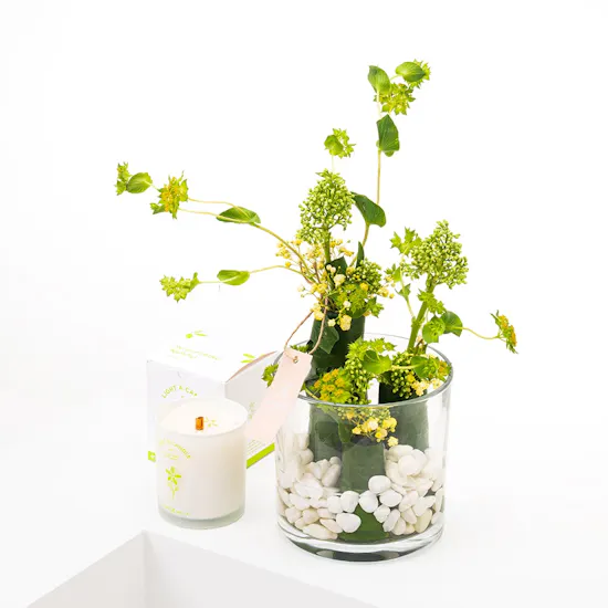 Floward Single Whispering Neroli Candle | Green Leaves Vase