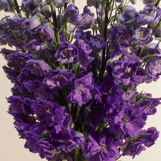 Purple Delphinium Vase