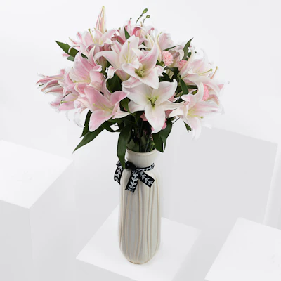 Surprise | Lily & Carnation Surprise | Lily & Carnation