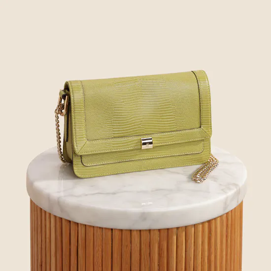 Cole Haan Light Green Daniella Chain Shoulder Bag