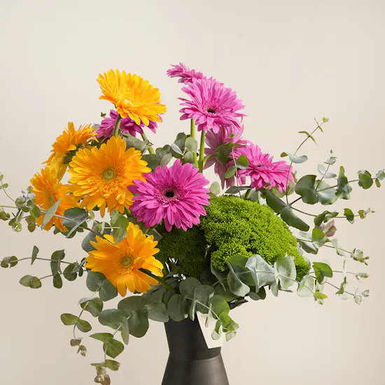 Gerbera Delight Flower Vase