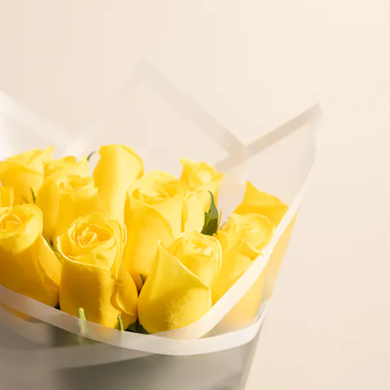 Sunshine Yellow Roses