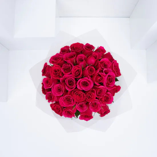 Fuchsia Roses | Pink Wrap
