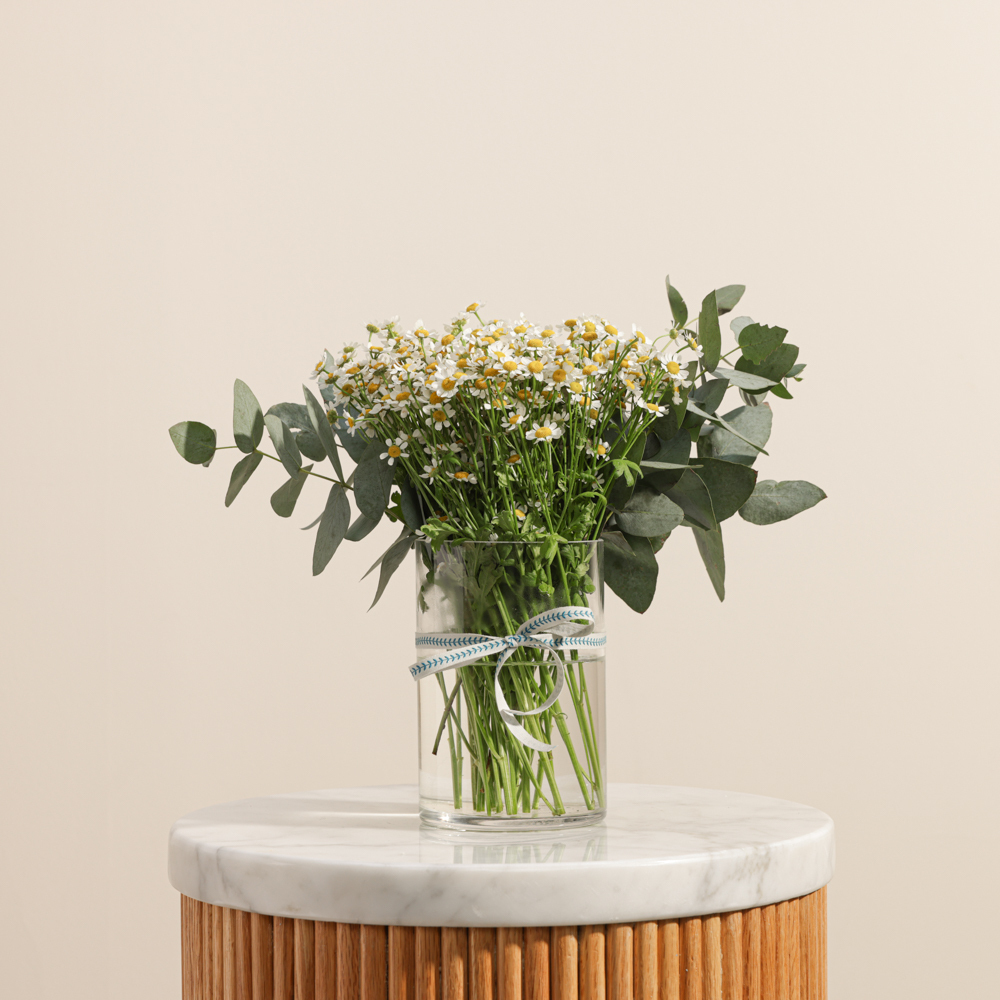 مزهرية بتلات البابونج 