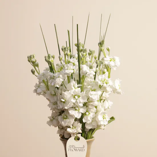 White Matthiolas | Keramos Studio Vase
