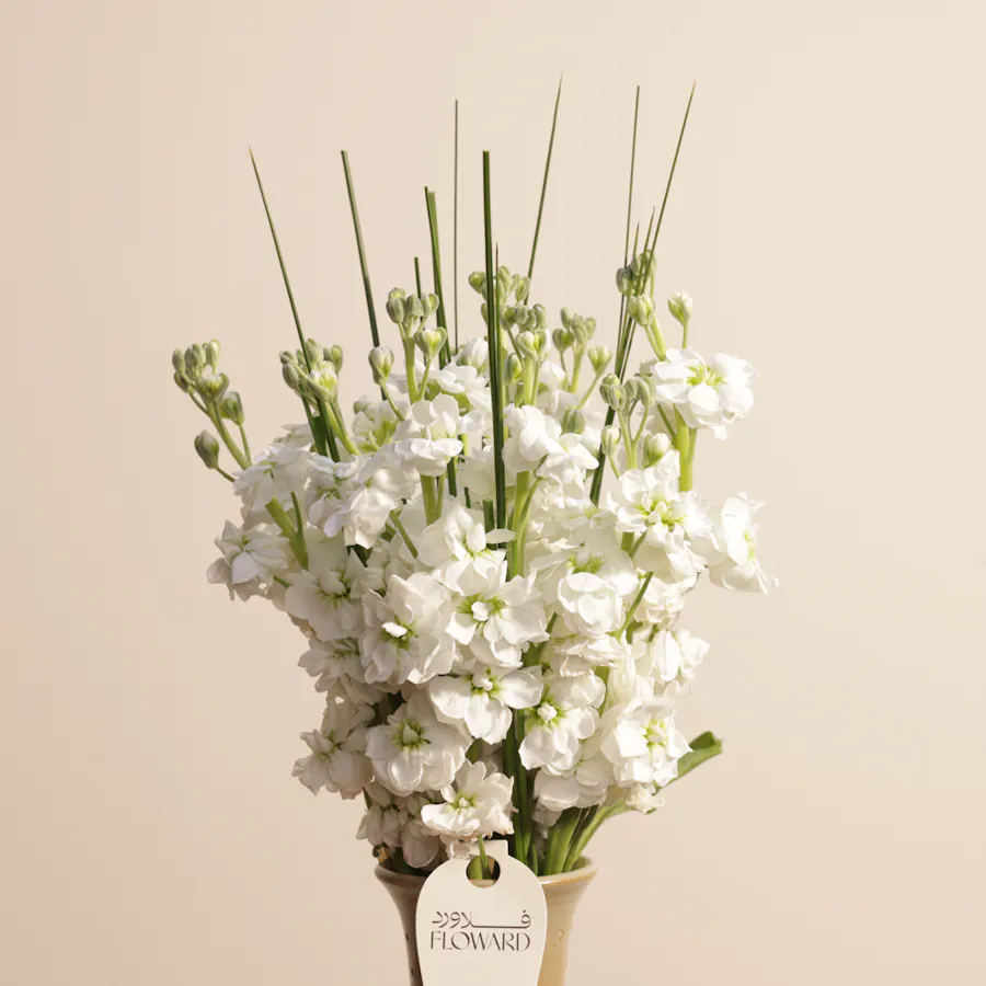 White Matthiolas | Keramos Studio Vase 4
