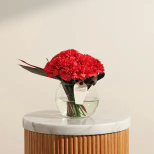 Red Carnation Vase Red Carnation Vase
