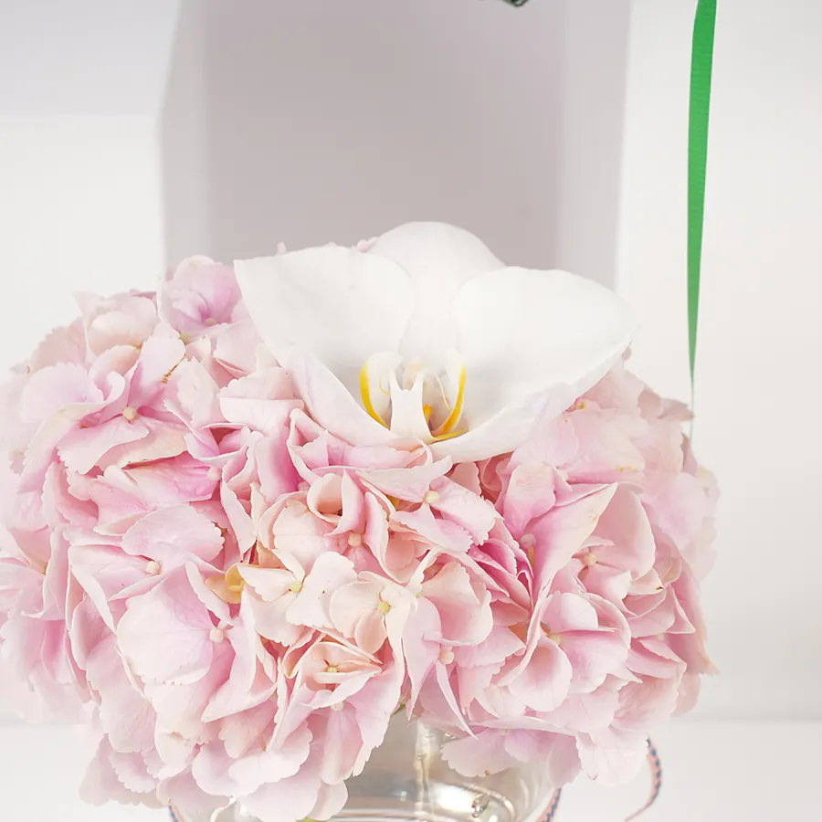 Laviviane Mille Feuille Bites Box | Birthday Vase 2