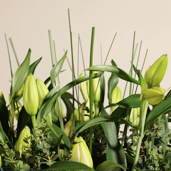 Cheerful White Lily Vase