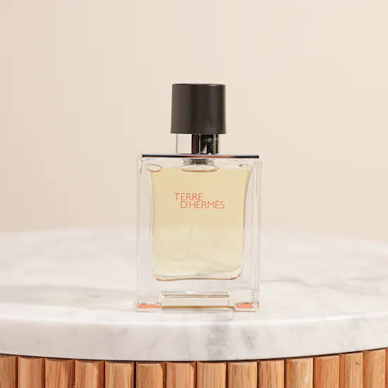 Hermès Terre D'Hermes EDT for Men | 50ml