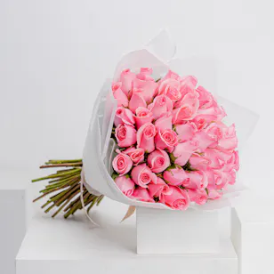 50 Revival Rose 
