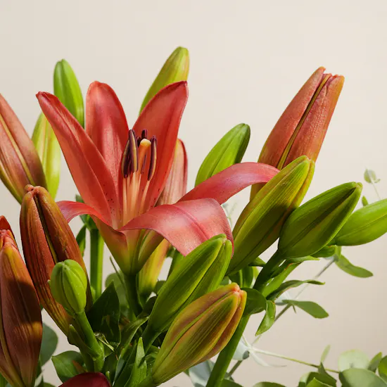 Classic Glam Red Lily Vase