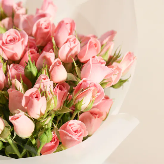 Pink Baby Rose Bouquet | 12 Flowers