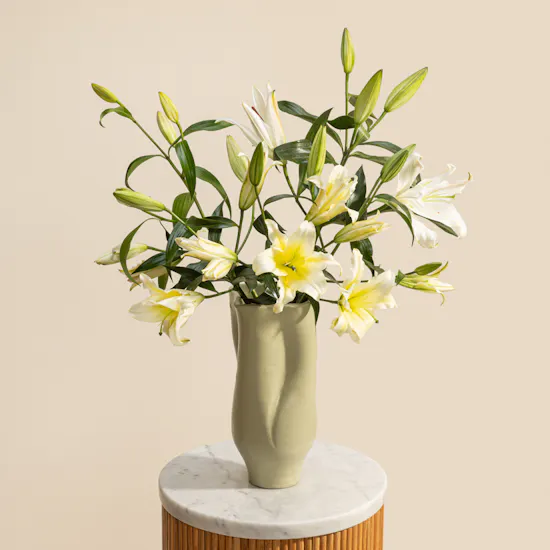 Nno Java White Lily Vase