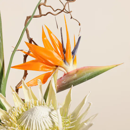 Magical Flowers Tray