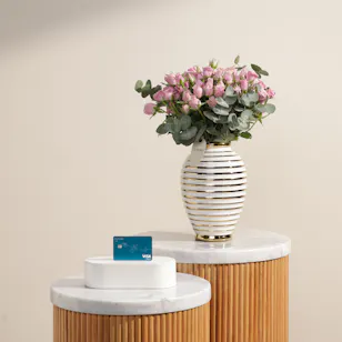 Floward 250 KWD Card | Petals of Promise