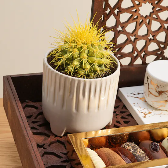 Floward Majlis Aroma Set