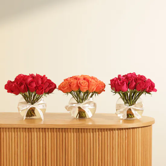 Trio Colors of Joy Flower Vase