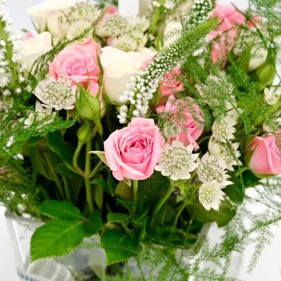 Birthday Pinks | Square Vase