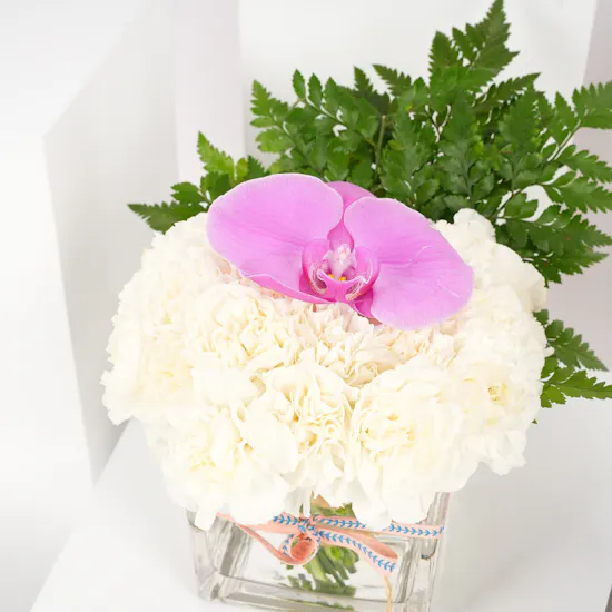Yasania Amethyst EDP 100 ml | Delicare Vase